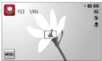 SAMSUNG SH100 - Nahaufnahmemodus verwenden - 1