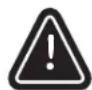 Napoleon Rogue XT 425 SIB - CAUTION! Beware of Spiders. - 1