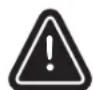 Napoleon Rogue XT 525 - Leak Testing Instructions - 2