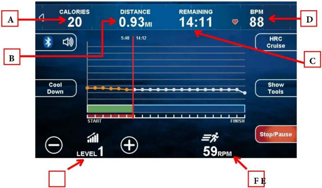 True ES900 - Workout Data Screens: - 1