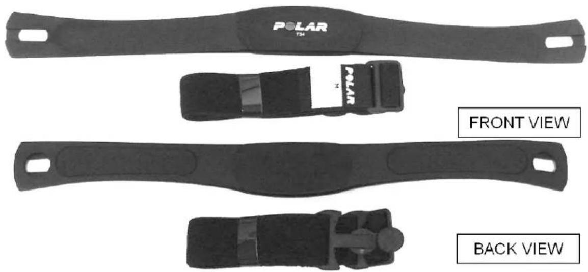 POLAR T34 Polar FRONT VIEW BACK VIEW