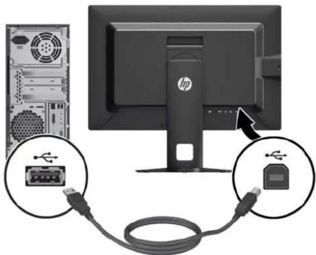 HP Z24i G2 - Connecting the Cables - 8