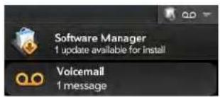 Software Manager 1 update available for install Voicemail 1 message