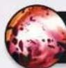 Kosmos Greenville 1989 - SPIELMATERIAL - 7