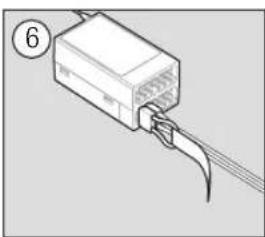 SPEKTRUM DX20 - Binding Using the Receiver and ESC - 6