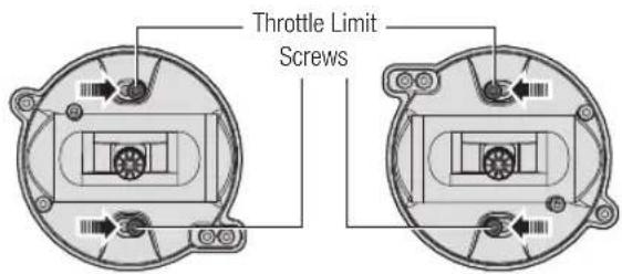 SPEKTRUM DX20 - Throttle limiting screws - 1