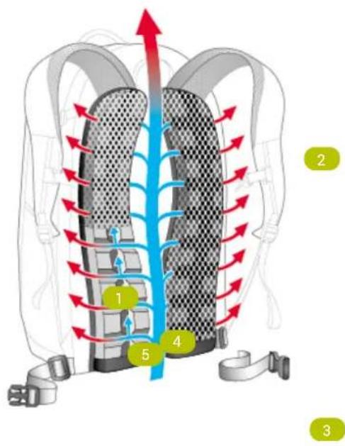 Deuter GoGo 25 - Rückensystem: Deuter Airstripes System Daypack - 1