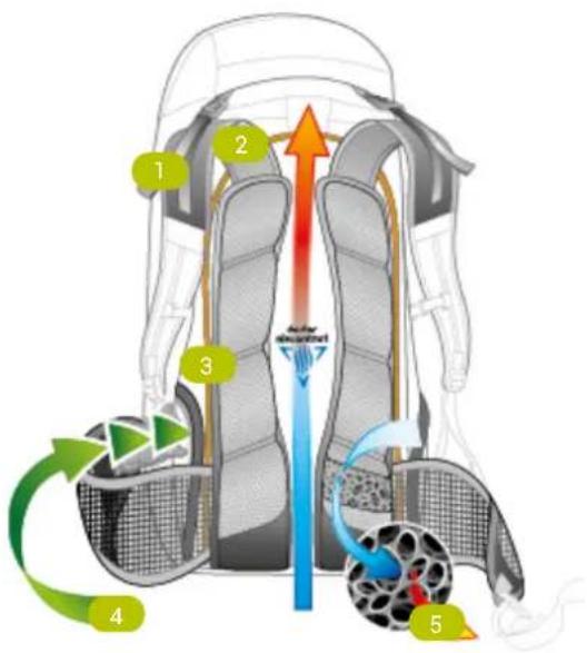 Deuter ACT Trail 22 SL - Rückensystem: Deuter Aircontact Trail System - 1