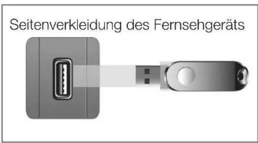 SAMSUNG LE22D450G1W - Installieren der aktuellsten Version - 1