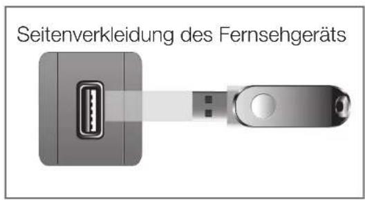 SAMSUNG LE37D550K1W - Installieren der aktuellsten Version - 1