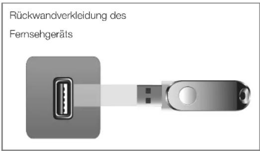 SAMSUNG LE40D503F7W - Installieren der aktuellsten Version - 1