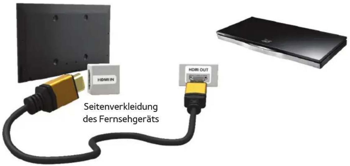SAMSUNG PS51E8000GU - Mit Hilfe eines HDMI-Kabels (bis zu 1080p) - 1