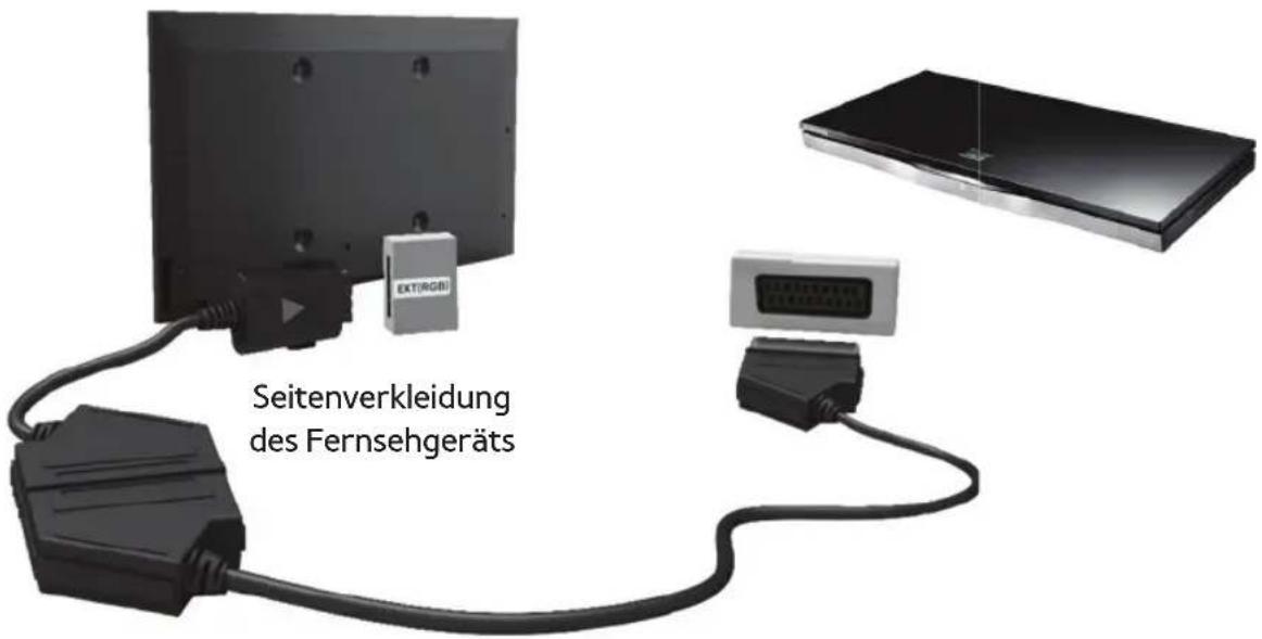 SAMSUNG PS51E8000GU - Mit Hilfe eines SCART-Kabels - 1