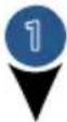 BISSELL Pet Hair Eraser 1650 - WARNING - 1