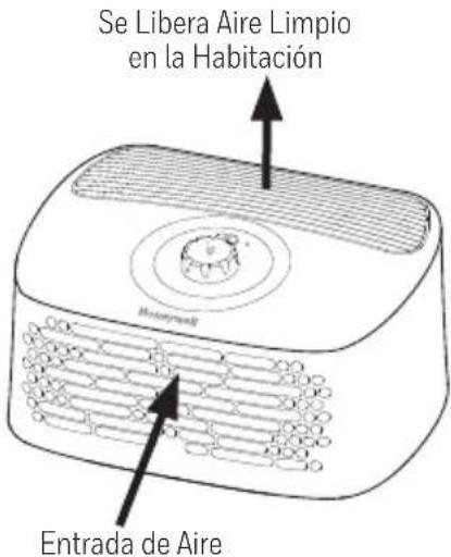 Se Libera Aire Limpio en la Habitación Entrada de Aire