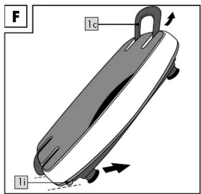 F 1c 1i
