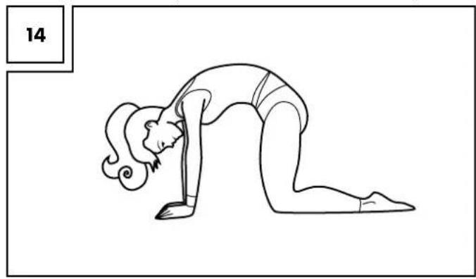 CRIVIT IAN 74884 - Stretching the lower erector spinae (Fig. 14) - 1