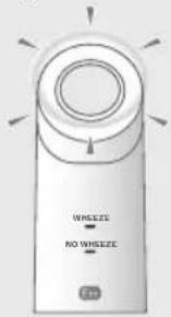 OMRON WheezeScan - Sorun Giderme - 1