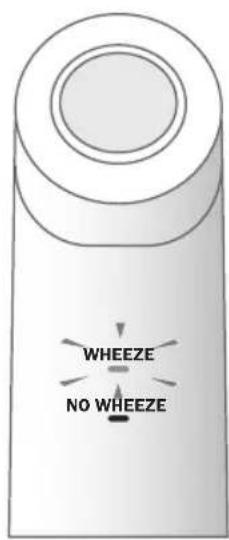 WHEEZE NO WHEEZE