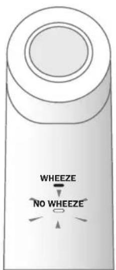 WHEEZE NO WHEEZE
