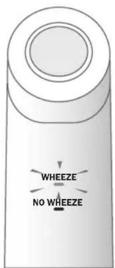 WHEEZE NO WHEEZE