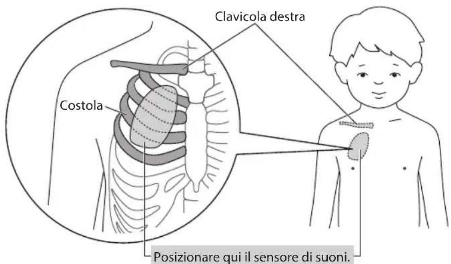 Clavicola destra Costola Posizionare qui il sensore di suoni.