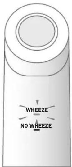 WHEEZE NO WHEEZE