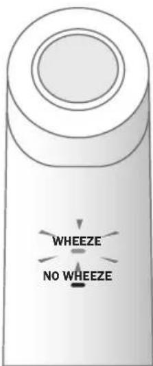 WHEEZE NO WHEEZE