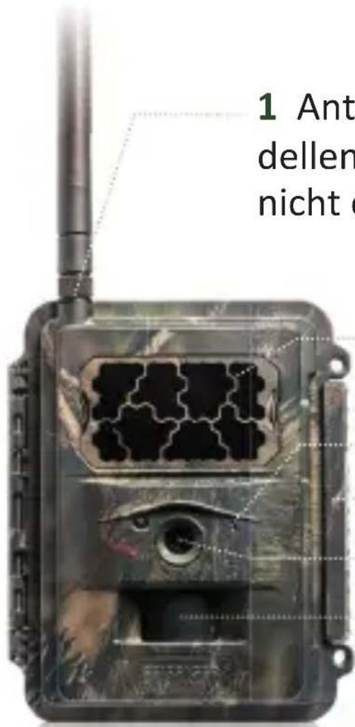Seissiger Special-Cam LTE Supersim - Kameragehäuse und Anschlüsse - 1