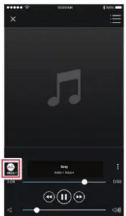 Song Song + Album