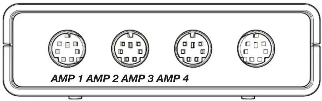 AMP 1 AMP 2 AMP 3 AMP 4