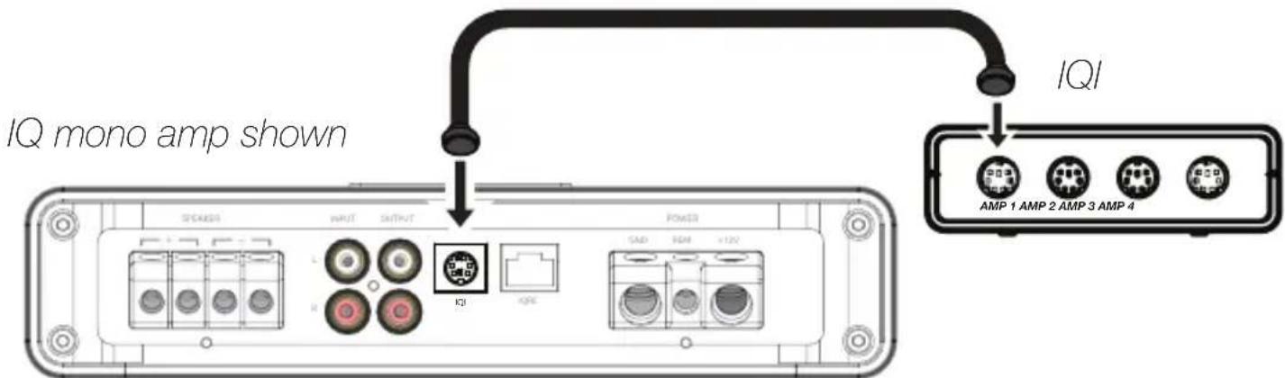 IQ mono amp shown IQI AMP 1 AMP 2 AMP 3 AMP 4