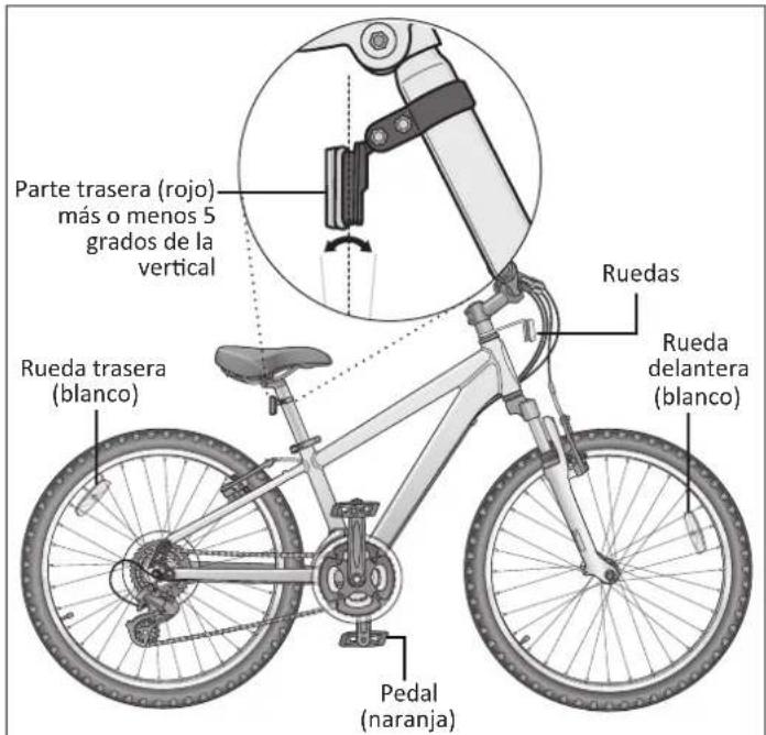 Parte trasera (rojo) más o menos 5 grados de la vertical Ruedas Rueda delantera (blanco) Rueda trasera (blanco) Pedal (naranja)