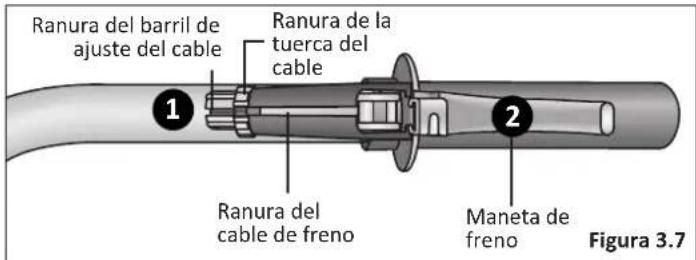 Ranura del barril de ajuste del cable Ranura de la tuerca del cable 1 2 Ranura del cable de freno Maneta de freno Figura 3.7