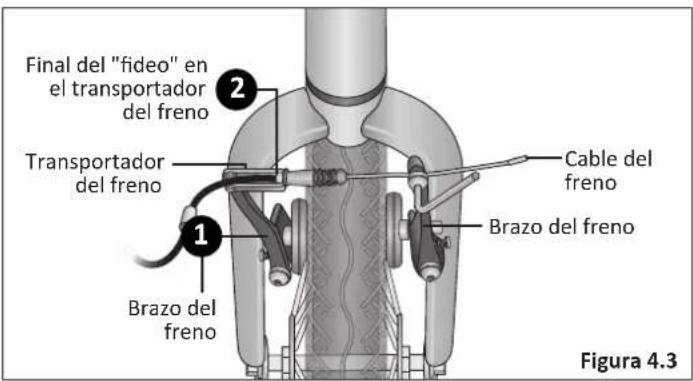 Final del "fideo" en el transportador del freno Transportador del freno Brazo del freno Cable del freno Brazo del freno Figura 4.3