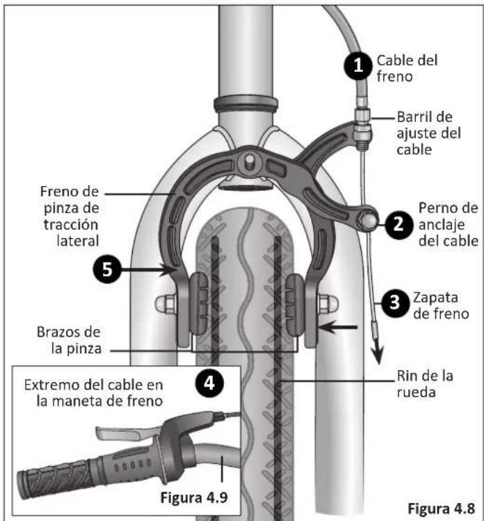 1 Cable del freno Barril de ajuste del cable 2 Perno de anclaje del cable 3 Zapata de freno 4 Rin de la rueda 5 Freno de pinza de tracción lateral Brazos de la pinza Extremo del cable en la maneta de freno Figura 4.9 Figura 4.8