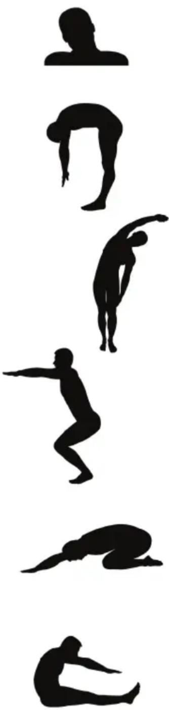 Flow Fitness Stelvio Racer Pro i - Hamstring Stretch - 1
