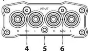 iFi Audio micro iPhono2 - RCA Outputs - 1
