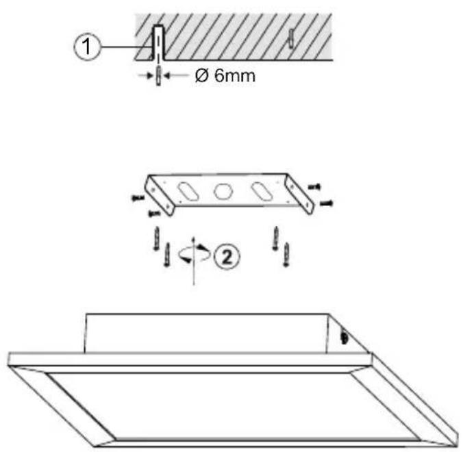 Paul Neuhaus Q-Flag - 11