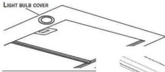 LIGHT BULB COVER