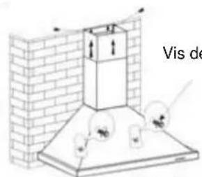 Vis de