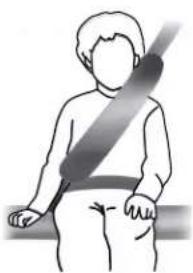 Lincoln Continental (2020) - How does the rear inflatable seatbelt system work? - 3