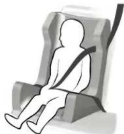 Lincoln Continental (2020) - Child Safety - 3