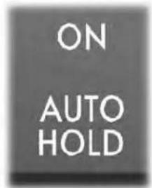 ON AUTO HOLD