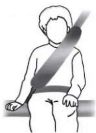 Lincoln Navigator (2020) - How does the rear inflatable seatbelt system work? - 3