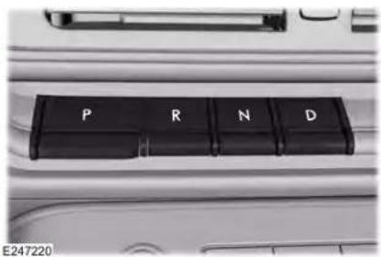 P R N D E247220