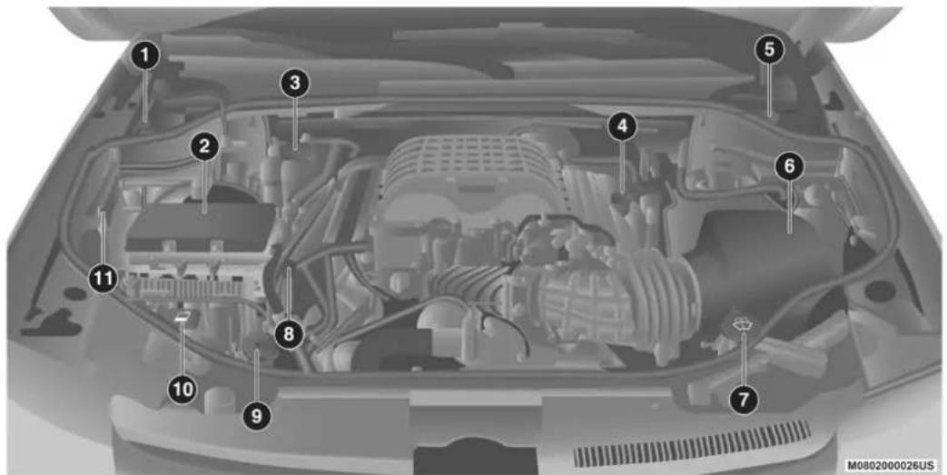 Labeled diagram of a car engine bay with numbered components for identification