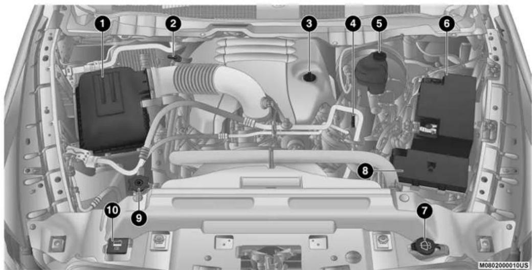 Labeled diagram of a car engine bay with numbered components for identification