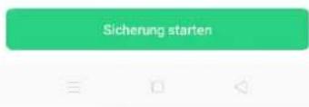 Sicherung starten