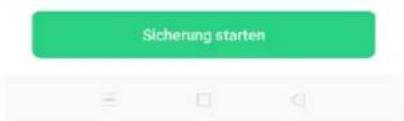 Sicherung starten